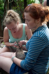 Measuring a kiwi