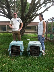 Nene prepare for release