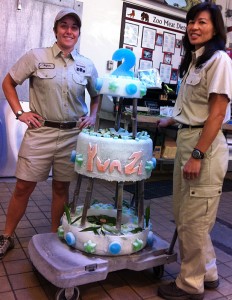 Birthday Cakes  Diego on Panda Birthday Cake   San Diego Zoo   Safari Park