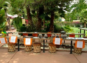 cinco_de_rhino_auction