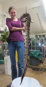 Ishee Photo #15