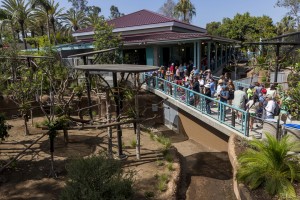 The koala care center can be seen in the background. Koala enclosures wrap around it on three sides.