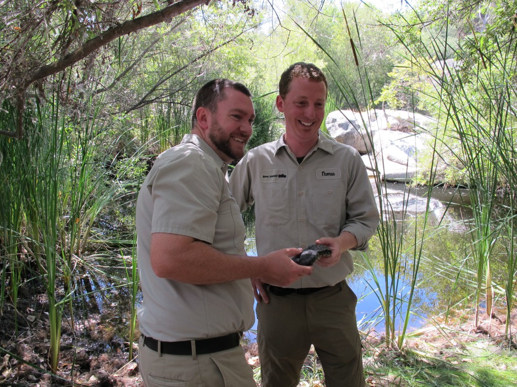 Brandon Scott (L) and Thomas Owens, reptiles keepers at the San Diego Zoo proudly hold their headstarted turtles. (Photo by the author)