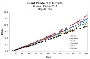 This panda cub growth chart shows that Xiao Liwu is about the same size as his sister, Zhen Zhen, just a few days before his first birthday. Click on image to enlarge.
