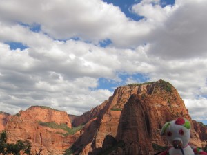 There are American black bears in Zion National Park. Ambassador Mi Ton Teiow, the special traveling “ambassador” of the Bear Specialist Group, paused for a photo here.