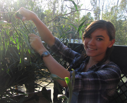 We plucked off leaves from acacia branches to be fed to the giraffes later on in our trip. Here Laura is removing the leaves from the acacia plant, making it a lot easier to feed the animals by hand.