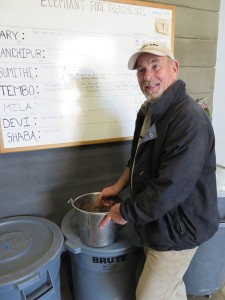 Even elephants don’t particularly like taking their medicine. In order to, Tim Davis, Senior Elephant Keeper, mixes the medicine with different foods. This way, the elephant won’t notice they are consuming the medicine.