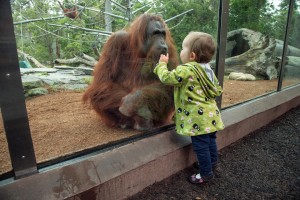 Janey bonds with a young Zoo guest.