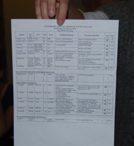This sheet is the “Hospital Active Case” list that catalogues every animal within the hospital. It lists their species, ID, injury or sickness, treatment plan, and the date they were brought into the facility. However, some animals listed, such as the Hawaiian crow, or Alala, are placed in the facility for long-term placement. The Hawaiian crow has been checked into the hospital because of its San Diego Zoo Wildlife Conservancy project. You can read more about the project at http://www.sandiegozooglobal.org/News/san_diego_zoos_conservation_of_hawaiian_alala_birds_sets_new_breeding_recor/.