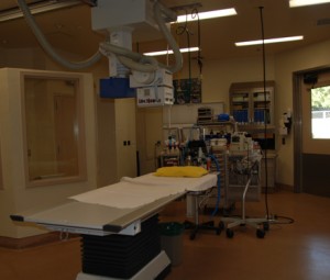 The x-ray room in the hospital functions no differently from the one you would go to at the doctor. The procedure for checking on an animal, however, requires a different strategy. Many different types of animals of all sizes use this room. The large doors to the right side of the room let the animals into the room. The largest animal to ever come to the hospital was a rhinoceros, one of the most endangered animals at the Safari Park. The hospital staff is given a very important task taking care of these rare species, and they don’t take their jobs lightly.