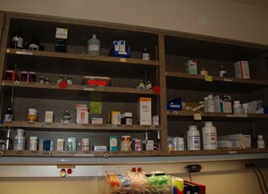 The hospital contains all the specific medications (much like your local pharmacy) for every animal under its care. Each type of medicine must be carefully measured for accuracy by the medical staff, like Ms. McCaffree.