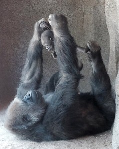 Imani's baby demonstrates her "Super Girl" pose!