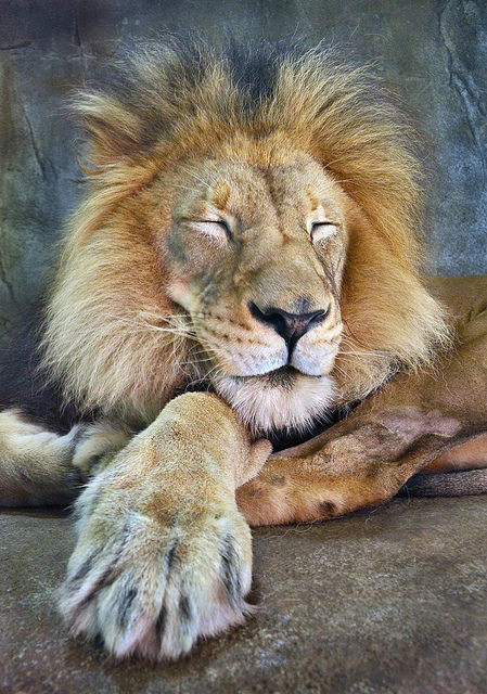 Photo by Ion Moe