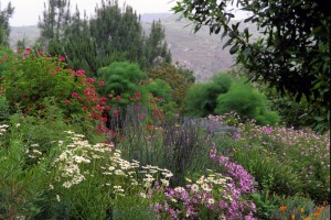 Look among the animals at the Safari Park, and you'll discover an amazing botanical collection.