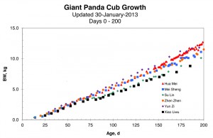 2012 PandaCubGrowth