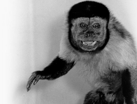 Centennial Throwback: Kiss Me, I'm Irish