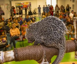 Zoos Bring Animal Kingdom to Patients at Boston Children’s Hospital